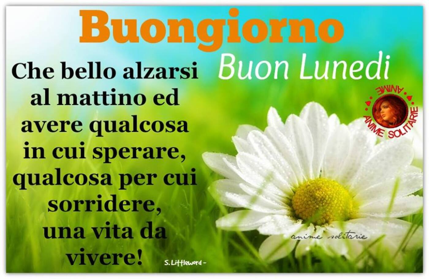 Buon mattino картинки