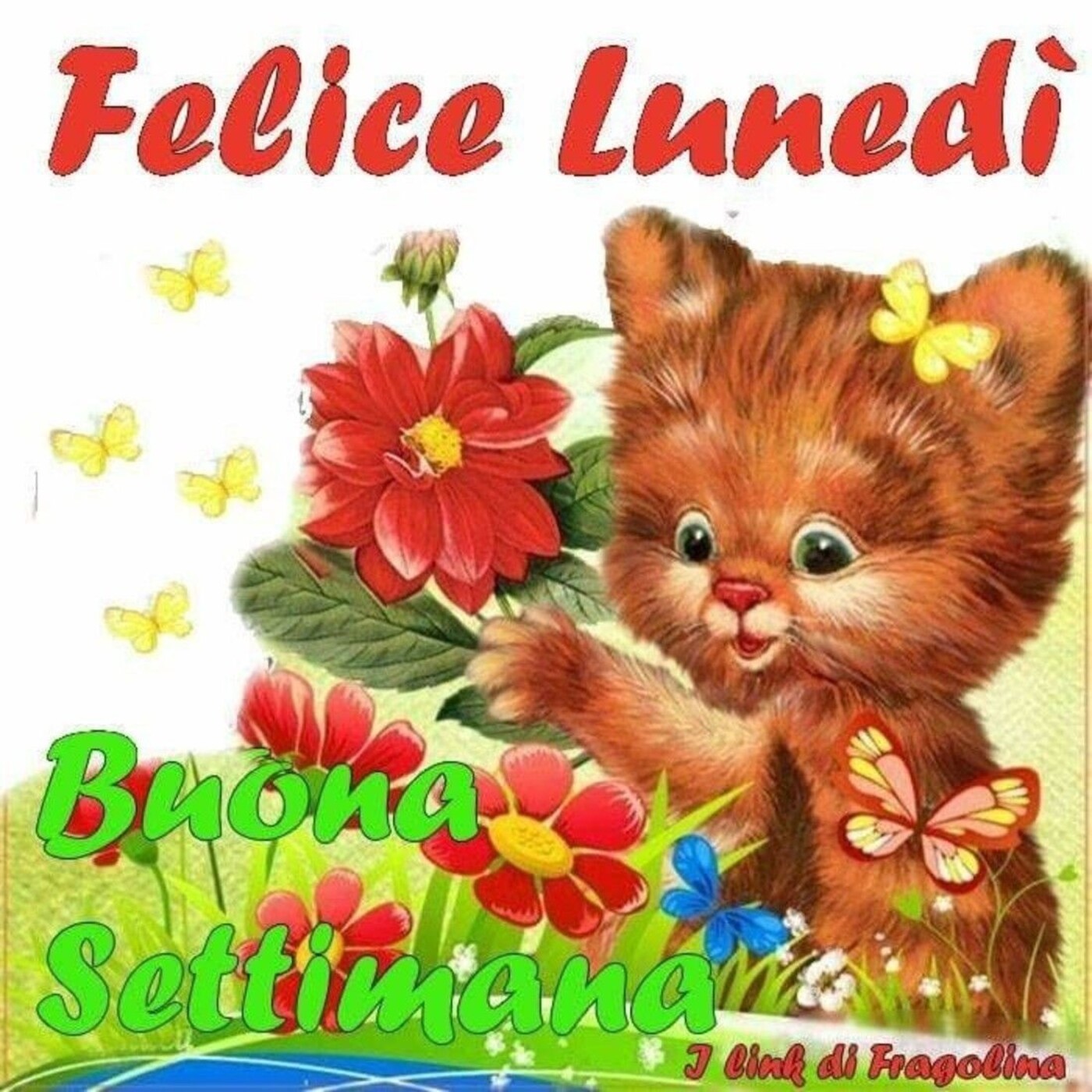 176+ immagini per dire Buon Lunedì Buongiorno - Pagina 7 di 12