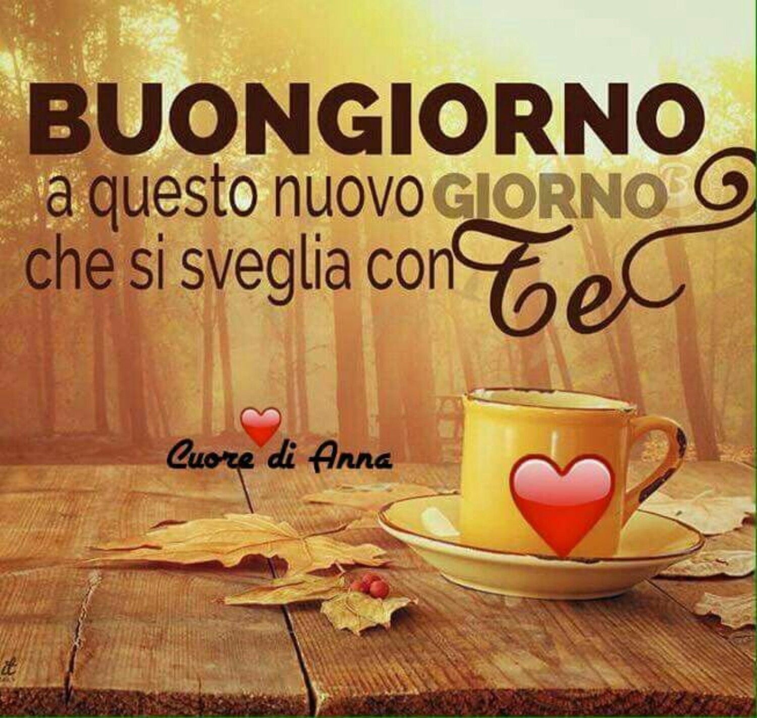 Buon giorno xxx