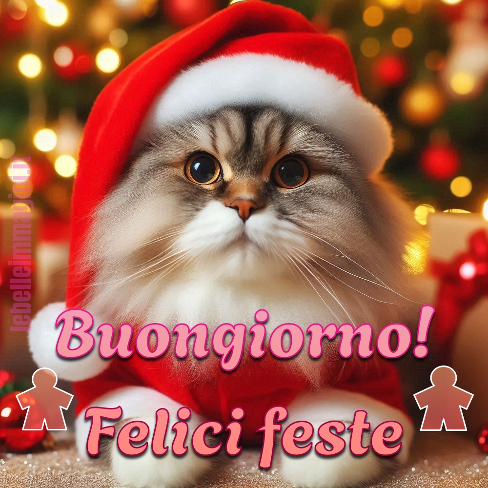 Il buongiorno natalizio con un simpatico gattino vestito da Babbo Natale