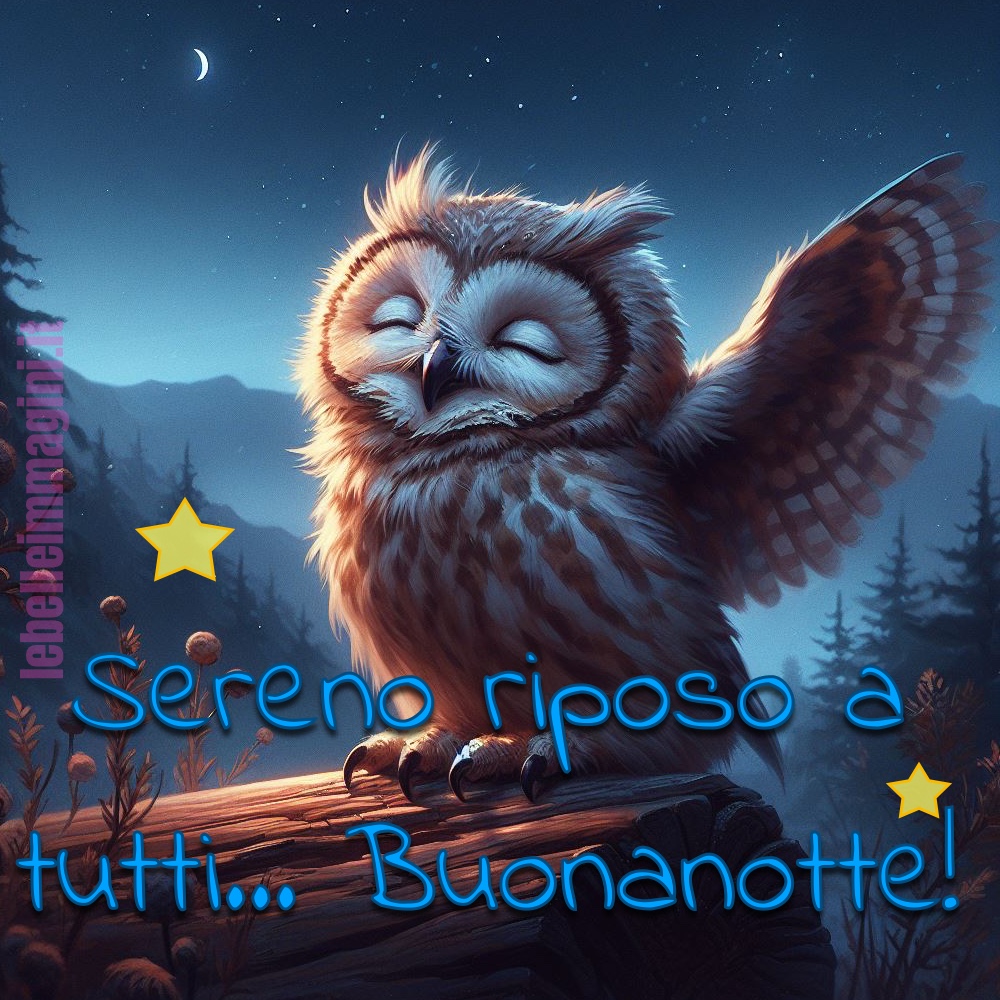 Sereno riposo a tutti... Buonanotte!