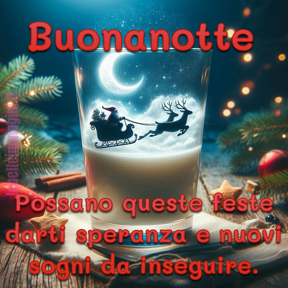 Buonanotte Babbo Natale sulla slitta