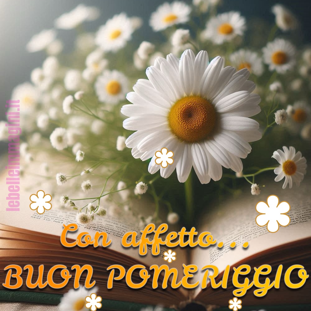 Buon pomeriggio margherite nel libro