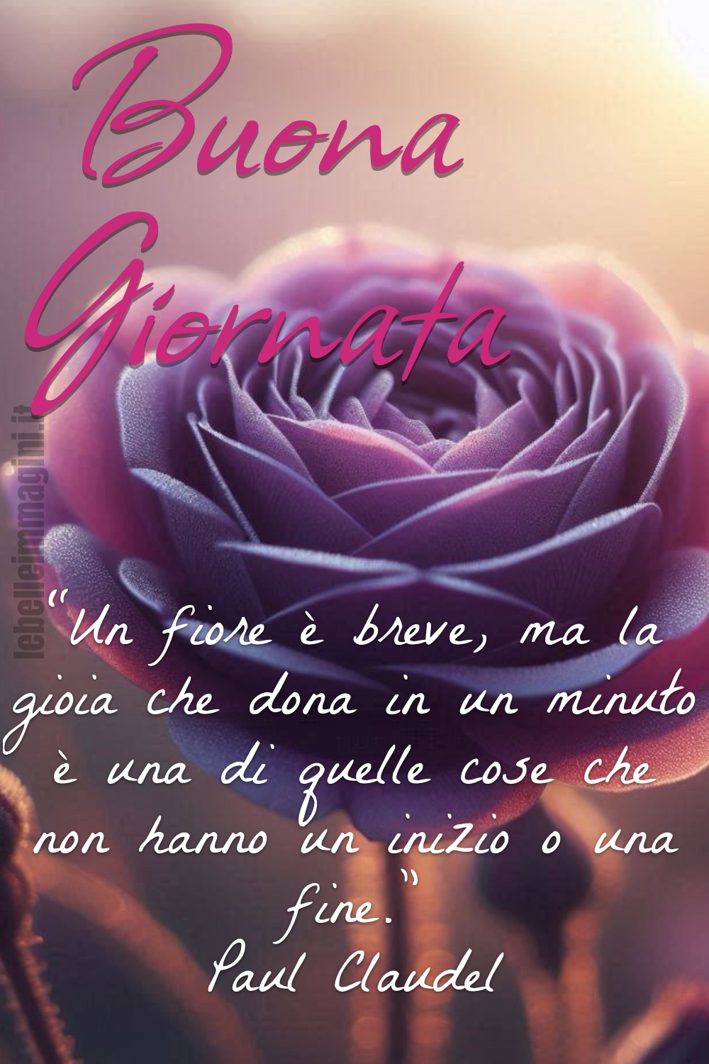 Per iniziare la giornata il buongiorno, una frase ed un fiore.